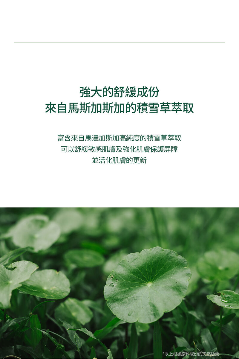 富含來自馬達加斯加高純度的積雪草萃取